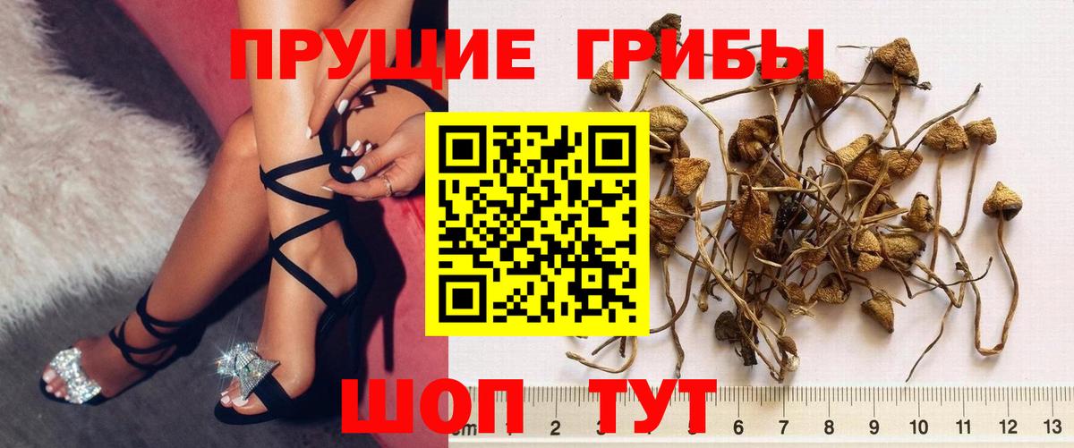 Люберцы  Галлюциногенные грибы Magic Shrooms  Вход с VPN 